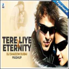 Tere Liye X Eternity Mashup - DJ Shadow Dubai Mp3 Tere Liye X Eternity Mashup - DJ Shadow Dubai Mp3